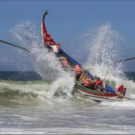 Currais O Pequeno Paraíso Entre O Mar E A Serra Aveiro