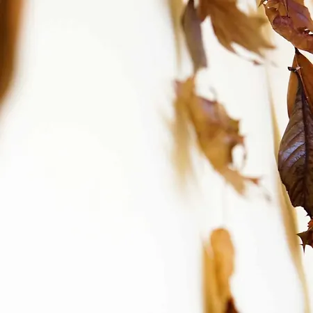 Albergue Currais O Pequeno Paraíso Entre O Mar E A Serra Aveiro