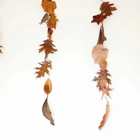 Currais O Pequeno Paraíso Entre O Mar E A Serra Albergue