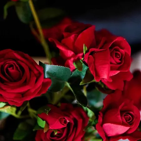 Currais O Pequeno Paraíso Entre O Mar E A Serra Albergue Aveiro