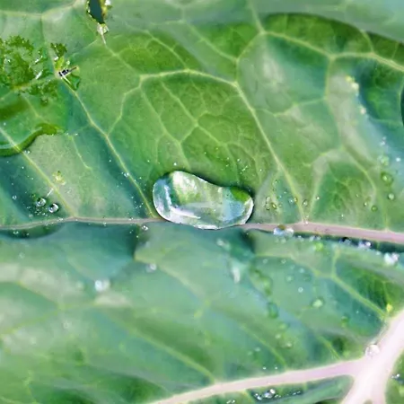 Albergue Currais O Pequeno Paraíso Entre O Mar E A Serra *