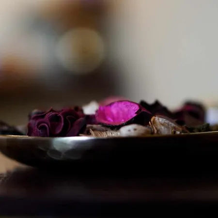 Currais O Pequeno Paraíso Entre O Mar E A Serra Albergue Aveiro
