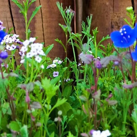 Currais O Pequeno Paraíso Entre O Mar E A Serra *
