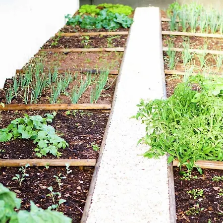 Currais O Pequeno Paraíso Entre O Mar E A Serra