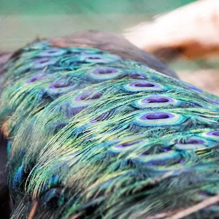 Currais O Pequeno Paraíso Entre O Mar E A Serra Albergue