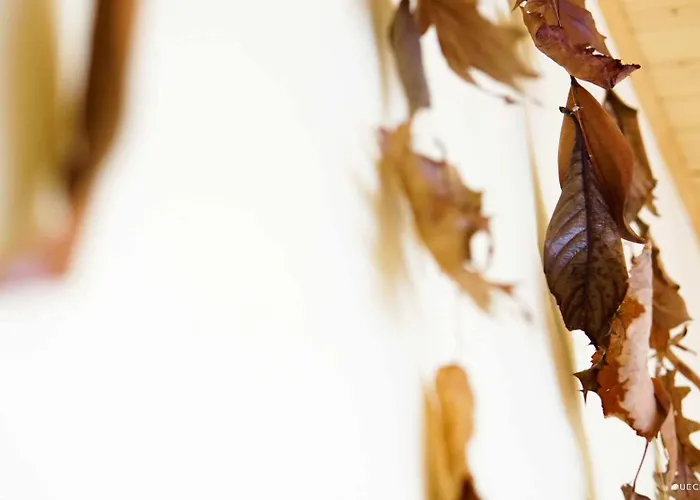 Hostel Currais O Pequeno Paraiso Entre O Mar E A Serra Aveiro