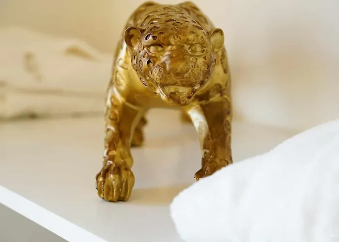 Currais O Pequeno Paraiso Entre O Mar E A Serra Hostel Aveiro