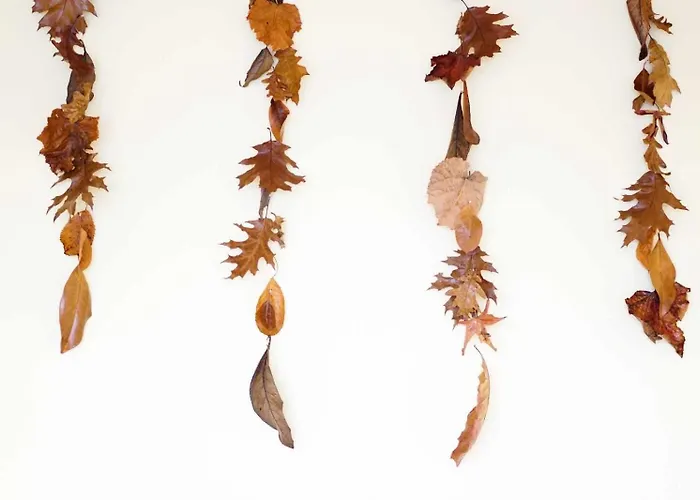 Currais O Pequeno Paraiso Entre O Mar E A Serra Hostel