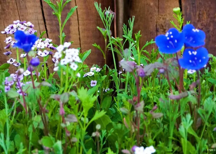 Currais O Pequeno Paraiso Entre O Mar E A Serra *