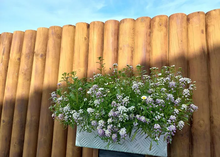 Currais O Pequeno Paraiso Entre O Mar E A Serra * Aveiro