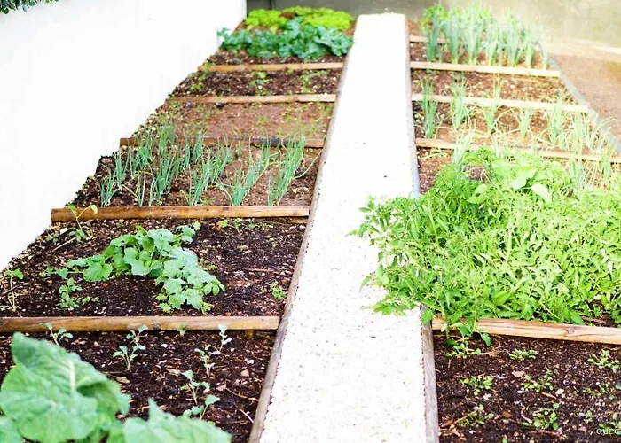 Currais O Pequeno Paraiso Entre O Mar E A Serra