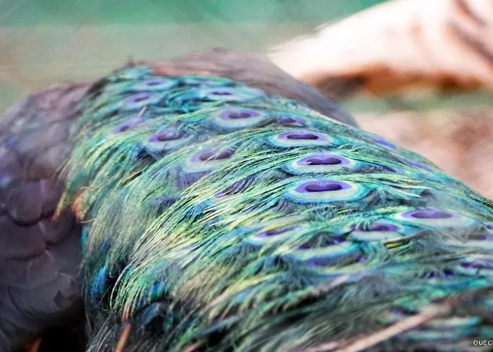 Currais O Pequeno Paraiso Entre O Mar E A Serra Hostel